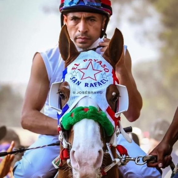 Meet your Posher, Alfredo - Picture 1 of 1